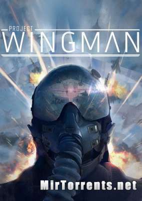 Project Wingman (2020) PC